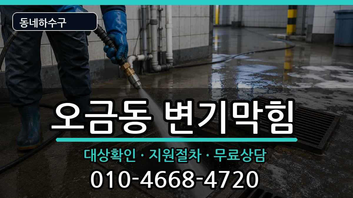경기고양시덕양구오금동 변기막힘 증상 처리 안내 이미지 3