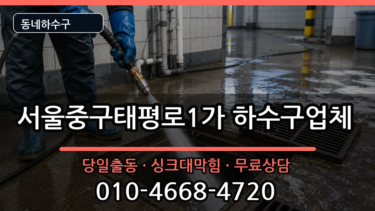 서울중구태평로1가 하수구막힘 증상 처리 안내 이미지 3