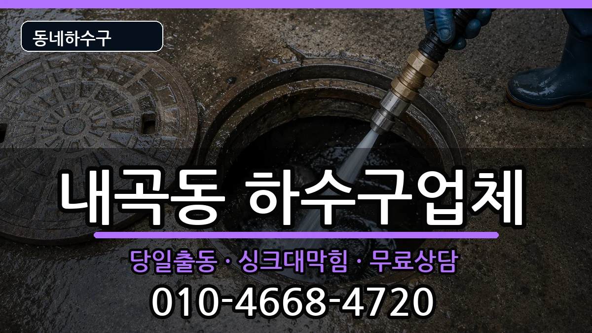 경기고양시덕양구내곡동 하수구막힘 증상 처리 안내 이미지 2