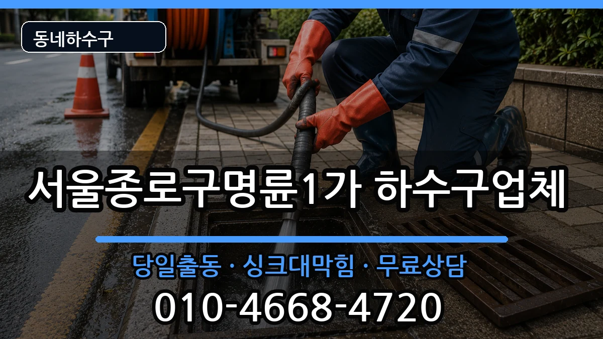 서울종로구명륜1가 하수구막힘 서울종로구명륜1가 하수구막힘 증상 처리 안내 이미지 2