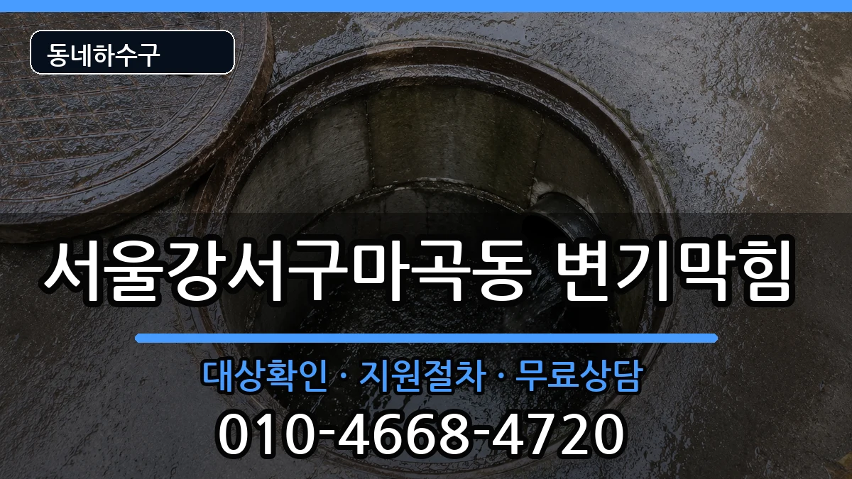 서울강서구마곡동 변기막힘 증상 처리 안내 이미지 3