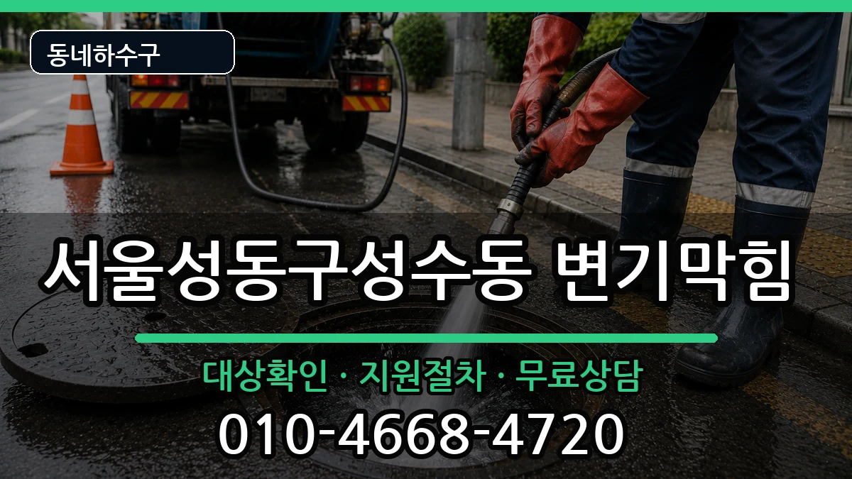 서울성동구성수동  변기막힘 질문형