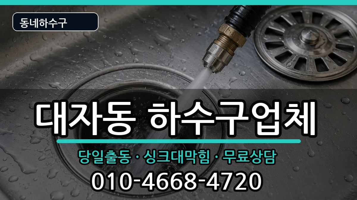 경기고양시덕양구대자동 하수구막힘 경기고양시덕양구대자동 하수구막힘 증상 처리 안내 이미지 3