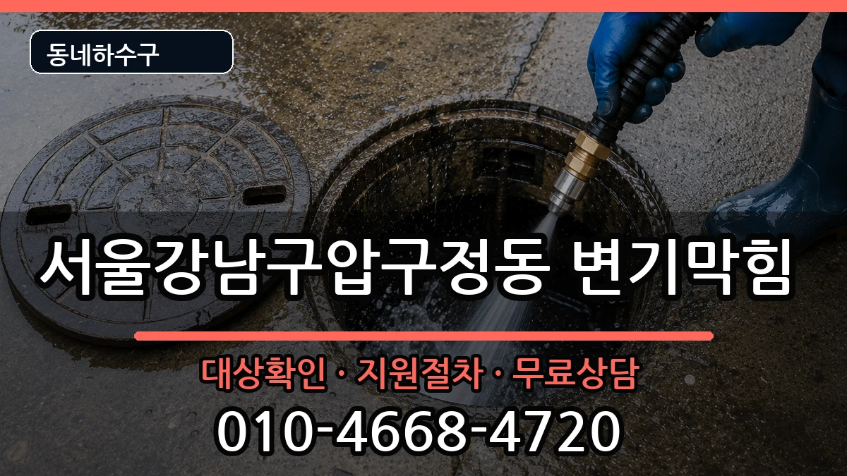 서울강남구압구정동 변기막힘 서울강남구압구정동 변기막힘 증상 처리 안내 이미지 2