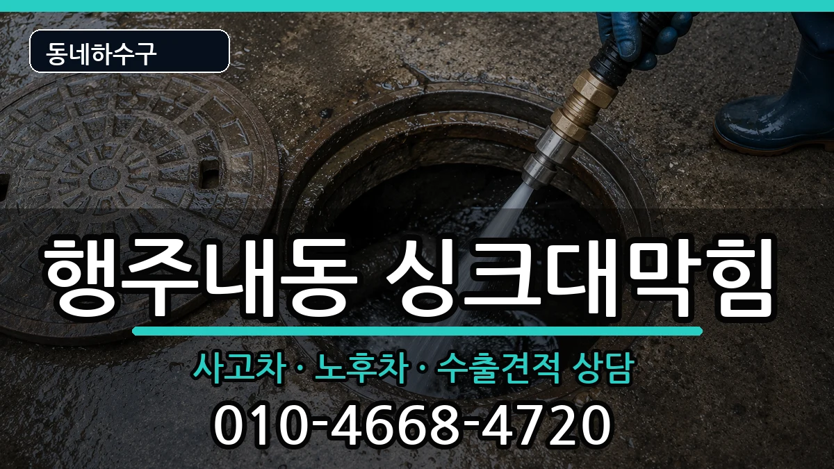 경기고양시덕양구행주내동 싱크대막힘 증상 처리 안내 이미지 2
