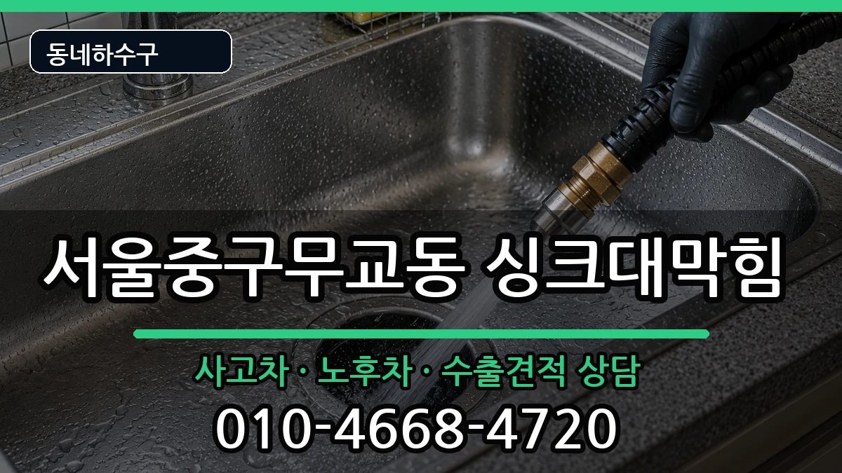 서울중구무교동 싱크대막힘 서울중구무교동 싱크대막힘 증상 처리 안내 이미지 1