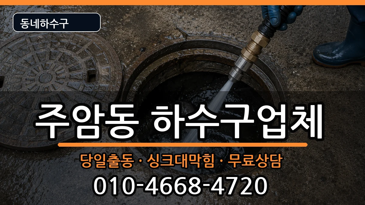 경기과천시주암동 하수구막힘 경기과천시주암동 하수구막힘 증상 처리 안내 이미지 3