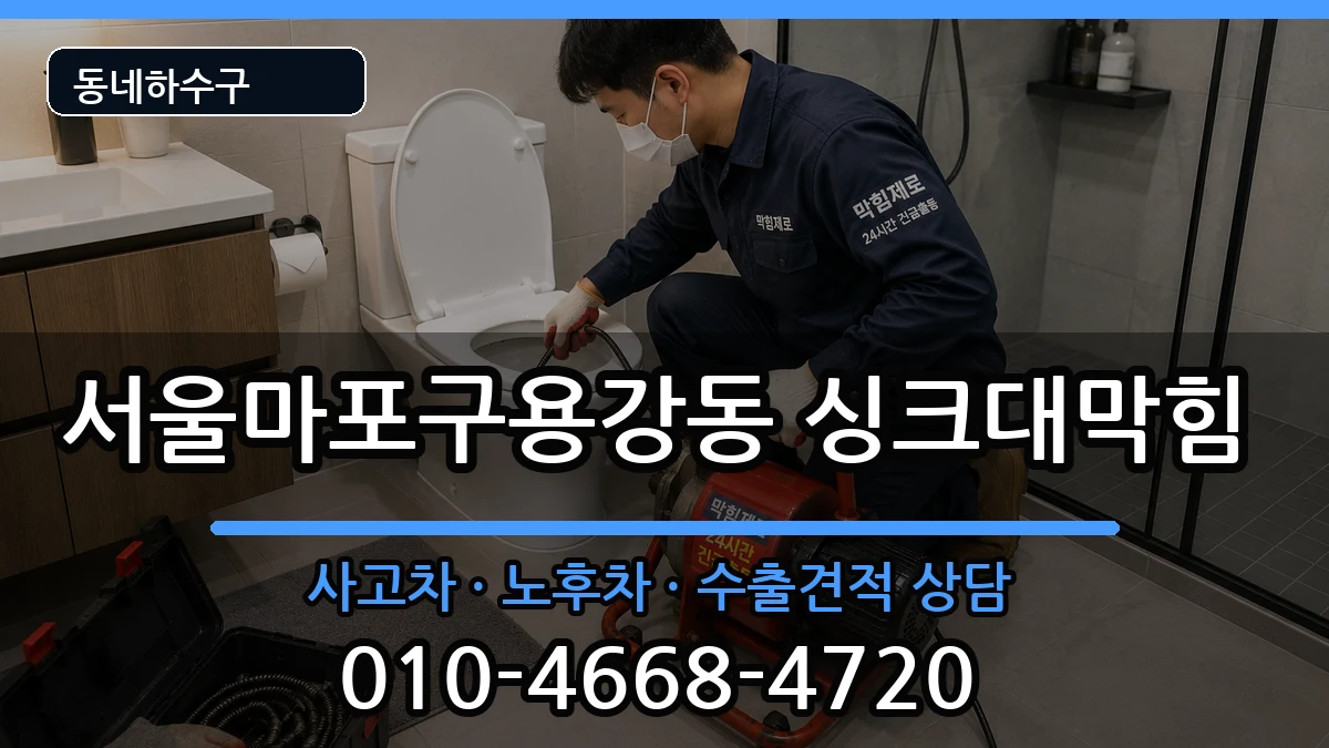서울마포구용강동 싱크대막힘 증상 처리 안내 이미지 1