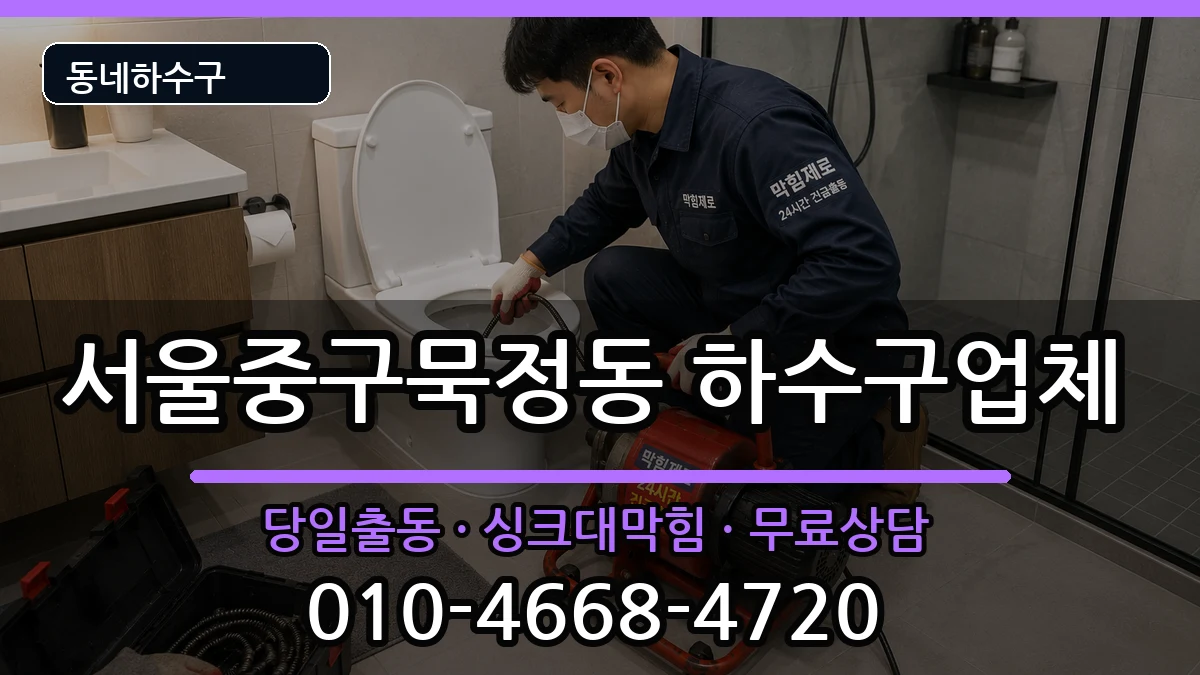 서울중구묵정동 하수구막힘 서울중구묵정동 하수구막힘 증상 처리 안내 이미지 3