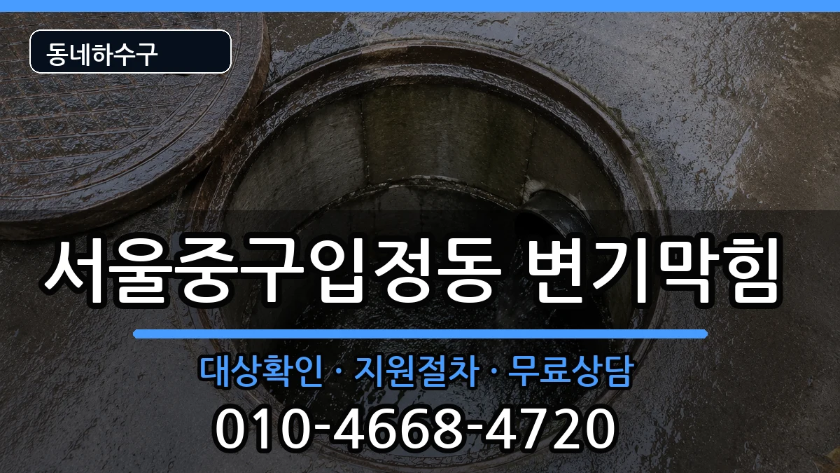 서울중구입정동 변기막힘 서울중구입정동 변기막힘 증상 처리 안내 이미지 2