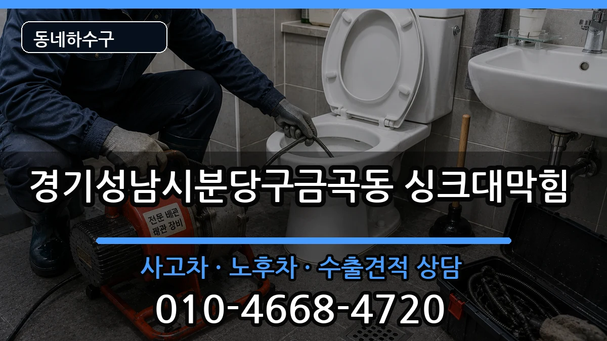 경기성남시분당구금곡동  싱크대막힘 비교형