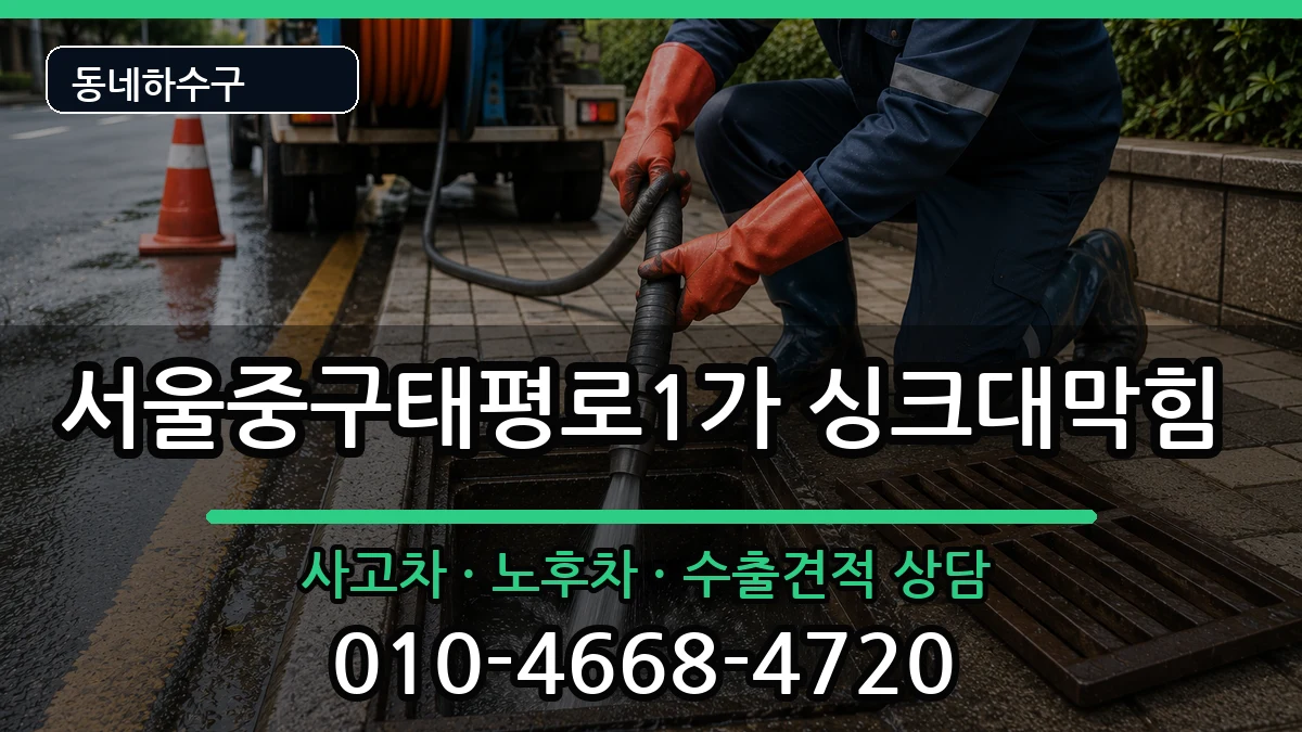 서울중구태평로1가 싱크대막힘 서울중구태평로1가 싱크대막힘 증상 처리 안내 이미지 3