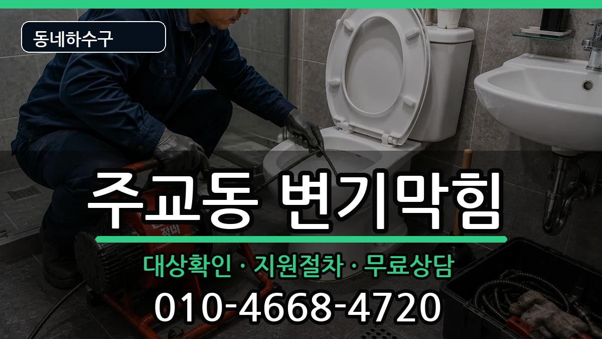 경기고양시덕양구주교동  변기막힘 사례형