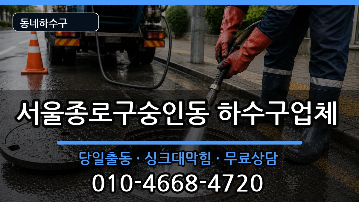 서울종로구숭인동  하수구막힘 질문형