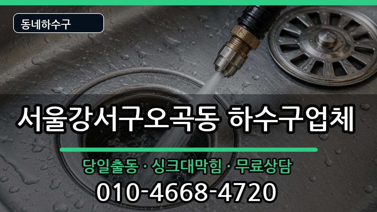 서울강서구오곡동 하수구막힘 서울강서구오곡동 하수구막힘 증상 처리 안내 이미지 2