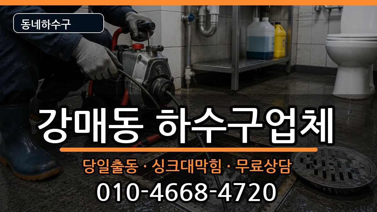 경기고양시덕양구강매동 하수구막힘 증상 처리 안내 이미지 3