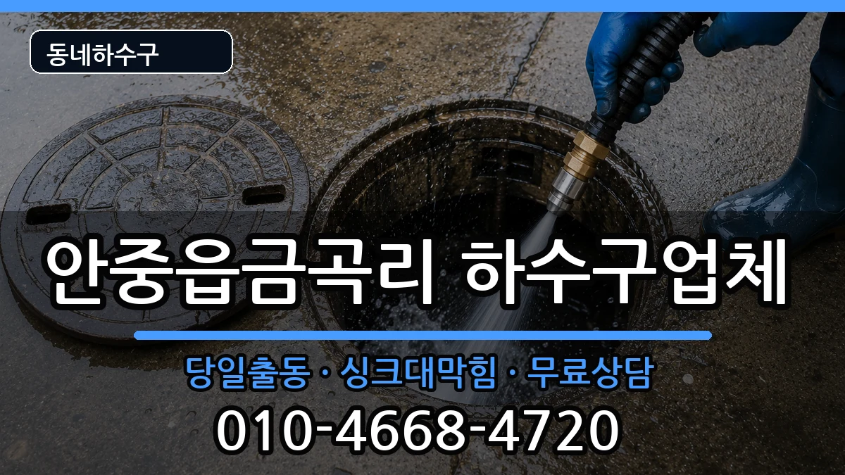경기평택시안중읍금곡리 하수구막힘 경기평택시안중읍금곡리 하수구막힘 증상 처리 안내 이미지 1