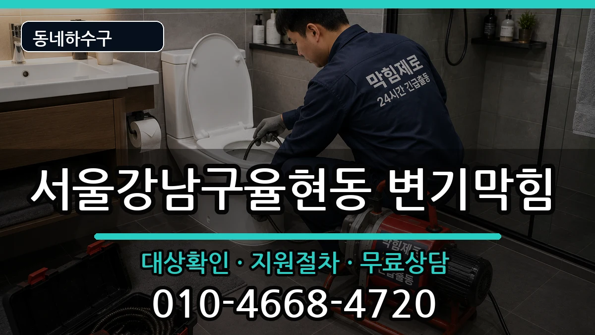 서울강남구율현동 변기막힘 서울강남구율현동 변기막힘 증상 처리 안내 이미지 3