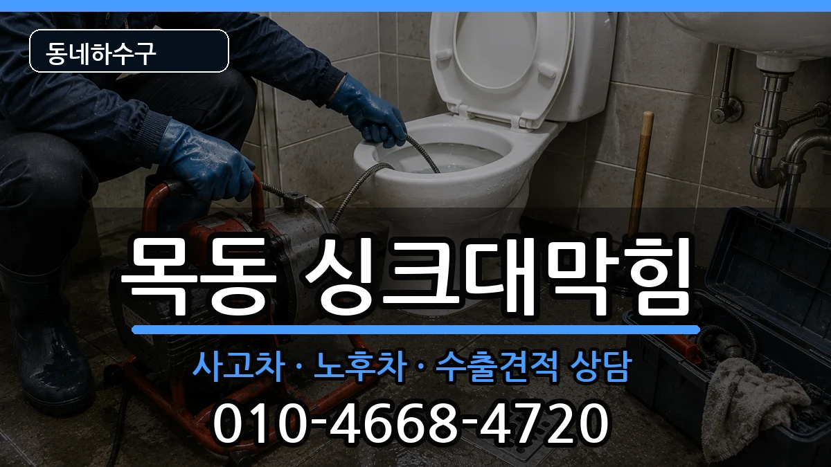 경기광주시목동  싱크대막힘 비교형
