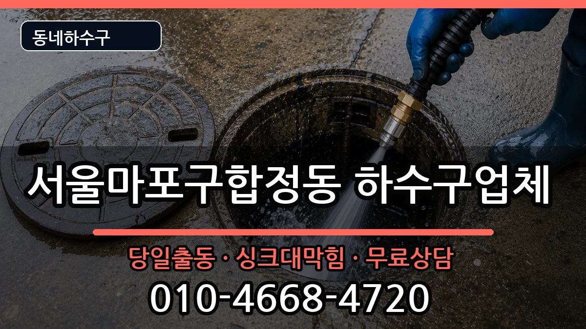 서울마포구합정동 하수구막힘 증상 처리 안내 이미지 2