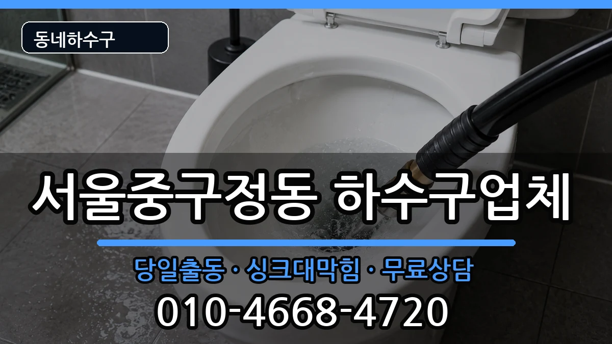 서울중구정동 하수구막힘 서울중구정동 하수구막힘 증상 처리 안내 이미지 2