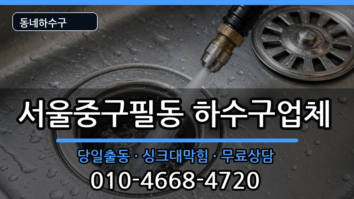 서울중구필동 하수구막힘 서울중구필동 하수구막힘 증상 처리 안내 이미지 3