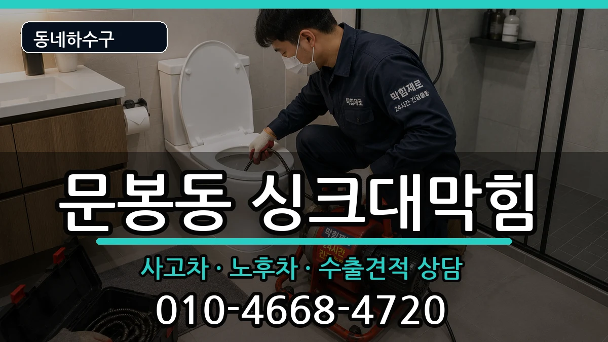 경기고양시일산동구문봉동 싱크대막힘 증상 처리 안내 이미지 2