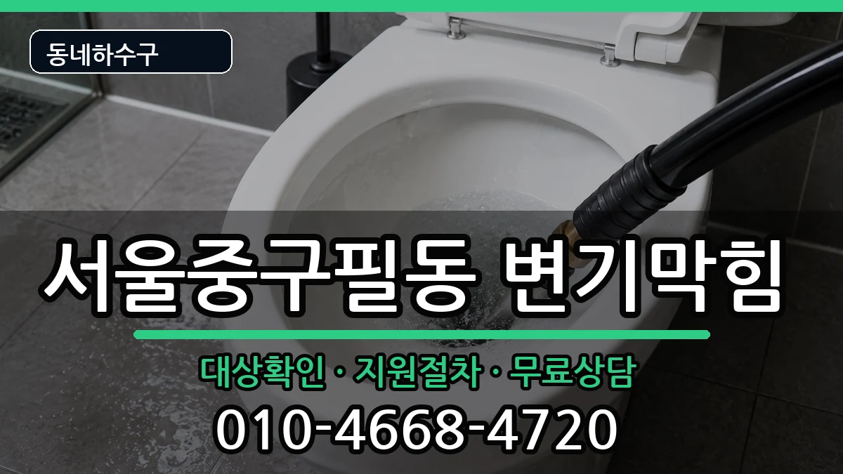 서울중구필동 변기막힘 서울중구필동 변기막힘 증상 처리 안내 이미지 2