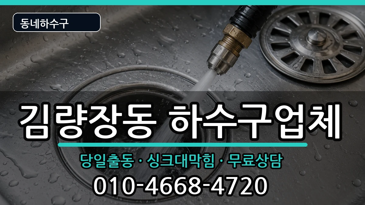 경기용인시처인구김량장동 하수구막힘 증상 처리 안내 이미지 2