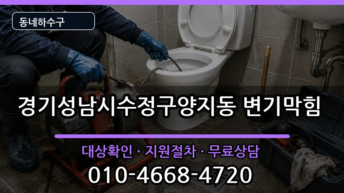 경기성남시수정구양지동  변기막힘 비교형