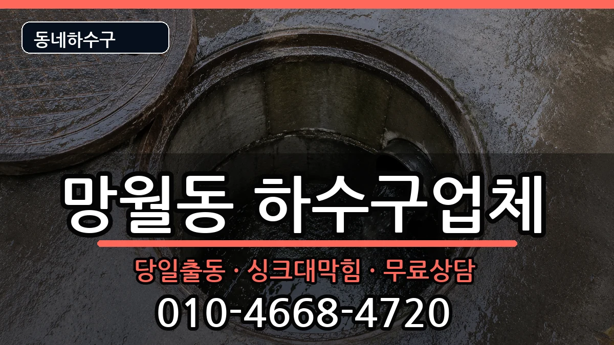 경기하남시망월동 하수구막힘 경기하남시망월동 하수구막힘 증상 처리 안내 이미지 2