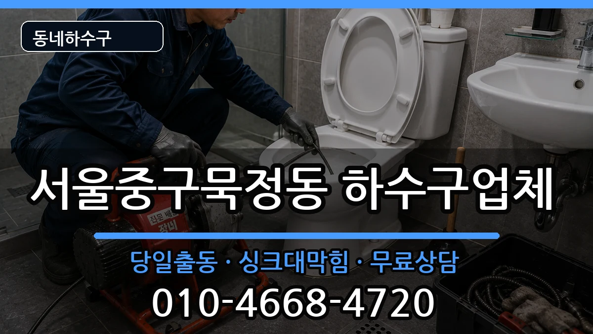 서울중구묵정동  하수구막힘 사례형