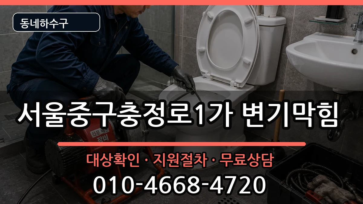 서울중구충정로1가 변기막힘 서울중구충정로1가 변기막힘 증상 처리 안내 이미지 1