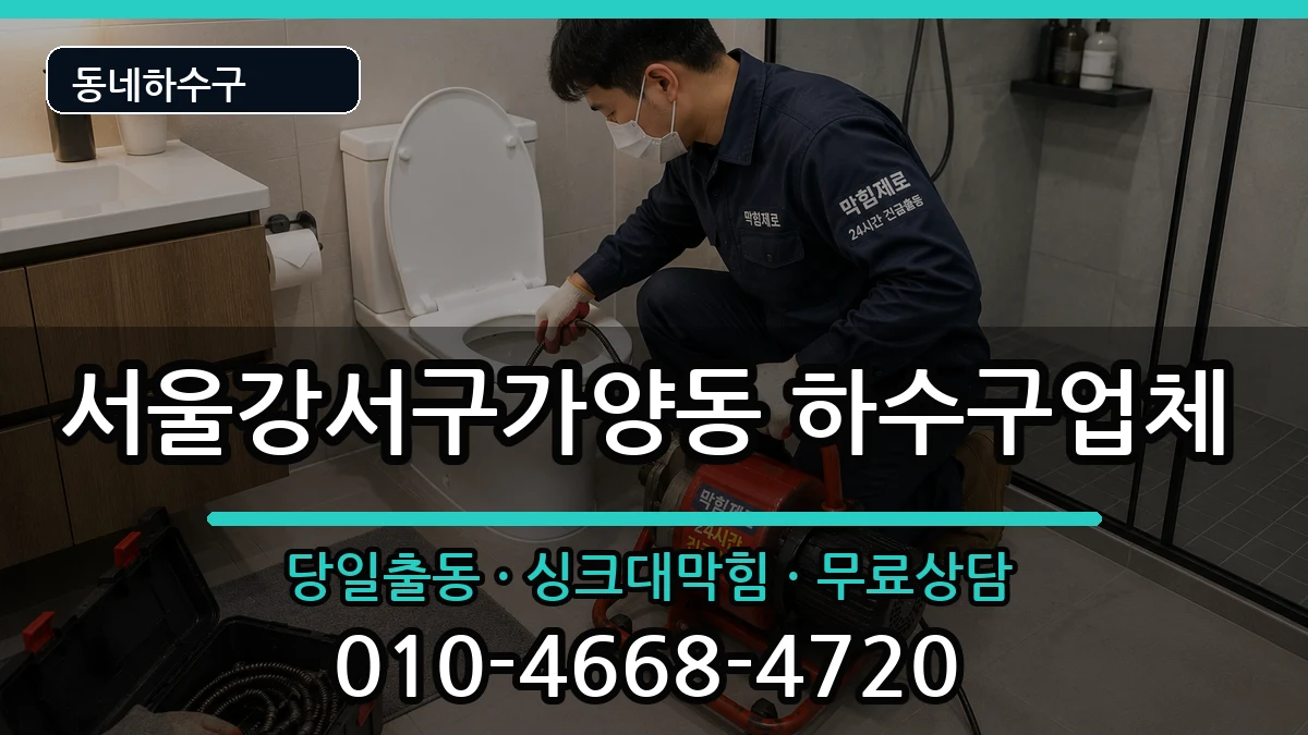 서울강서구가양동 하수구막힘 서울강서구가양동 하수구막힘 증상 처리 안내 이미지 1