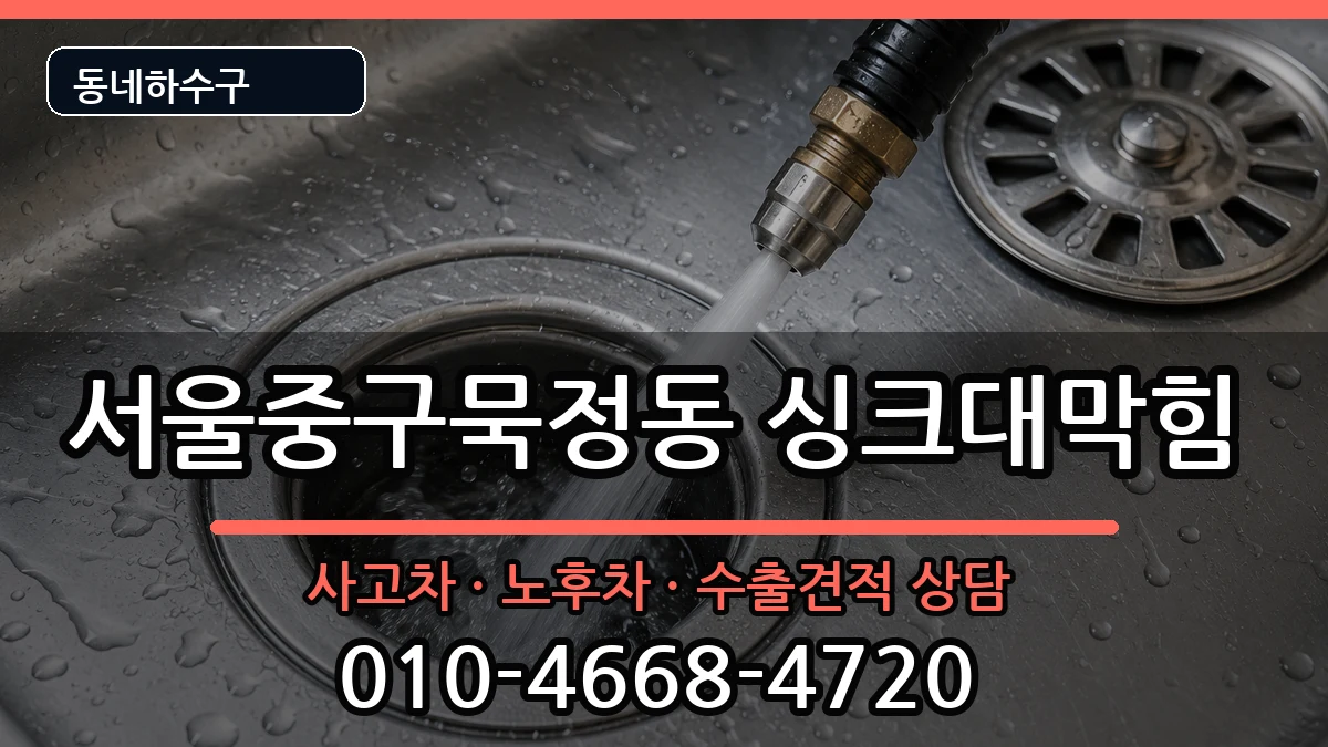 서울중구묵정동 싱크대막힘 서울중구묵정동 싱크대막힘 증상 처리 안내 이미지 3