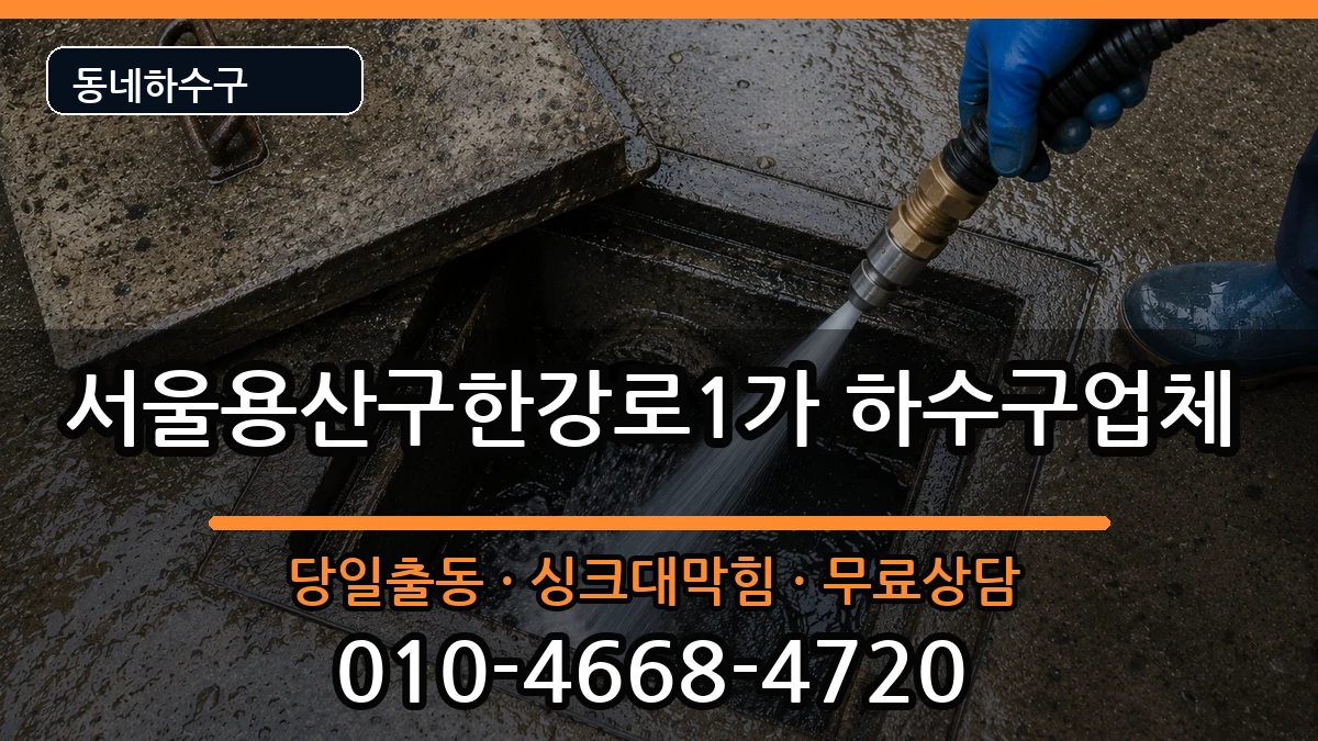 서울용산구한강로1가 하수구막힘 증상 처리 안내 이미지 3