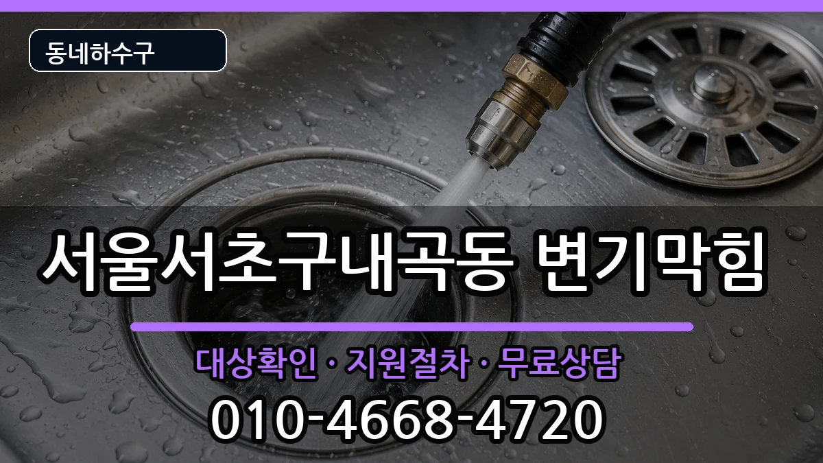 서울서초구내곡동 변기막힘 증상 처리 안내 이미지 2