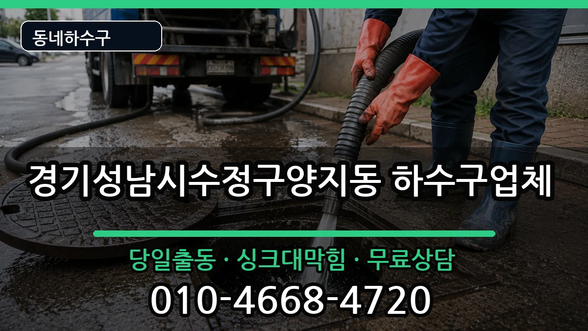 경기성남시수정구양지동 하수구막힘 증상 처리 안내 이미지 2