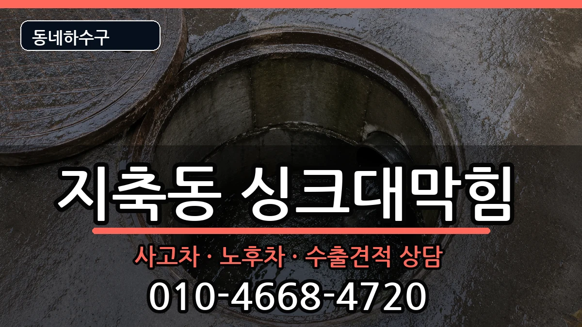 경기고양시덕양구지축동 싱크대막힘 증상 처리 안내 이미지 1