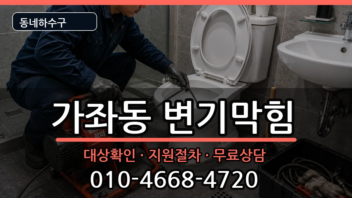 경기고양시일산서구가좌동  변기막힘 사례형