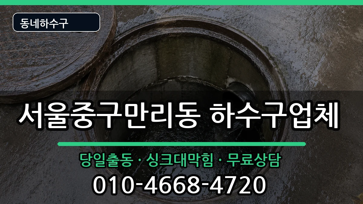 서울중구만리동 하수구막힘 서울중구만리동 하수구막힘 증상 처리 안내 이미지 3