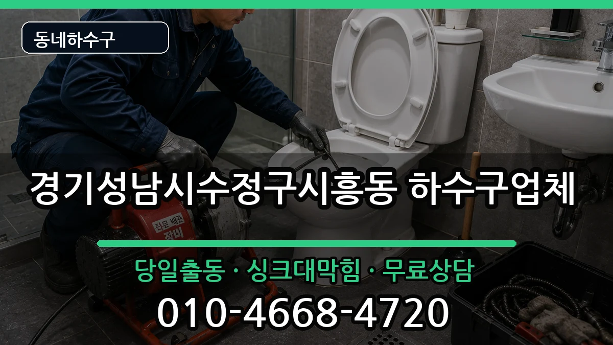 경기성남시수정구시흥동  하수구막힘 사례형