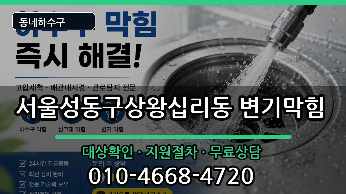 서울성동구상왕십리동 변기막힘 서울성동구상왕십리동 변기막힘 증상 처리 안내 이미지 3