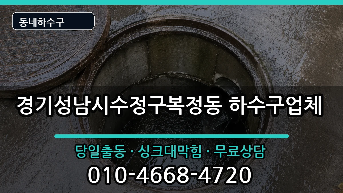 경기성남시수정구복정동 하수구막힘 증상 처리 안내 이미지 3