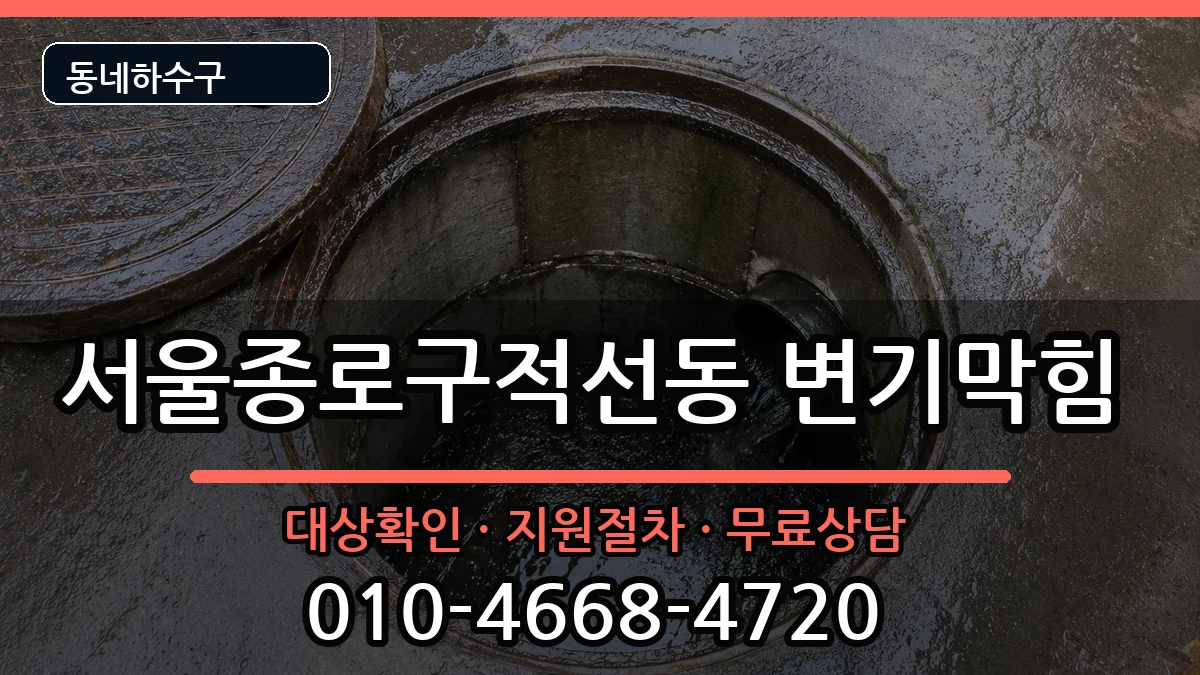서울종로구적선동 변기막힘 서울종로구적선동 변기막힘 증상 처리 안내 이미지 3