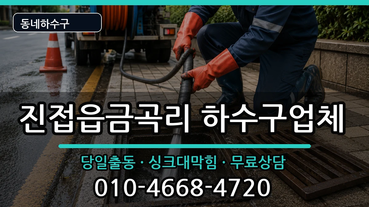 경기남양주시진접읍금곡리  하수구막힘 질문형