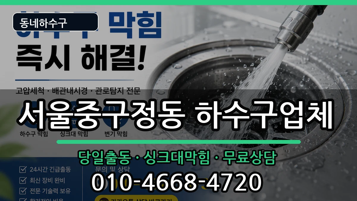 서울중구정동 하수구막힘 서울중구정동 하수구막힘 증상 처리 안내 이미지 2