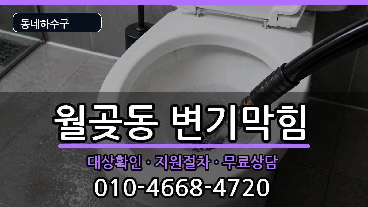 경기시흥시월곶동 변기막힘 경기시흥시월곶동 변기막힘 증상 처리 안내 이미지 2