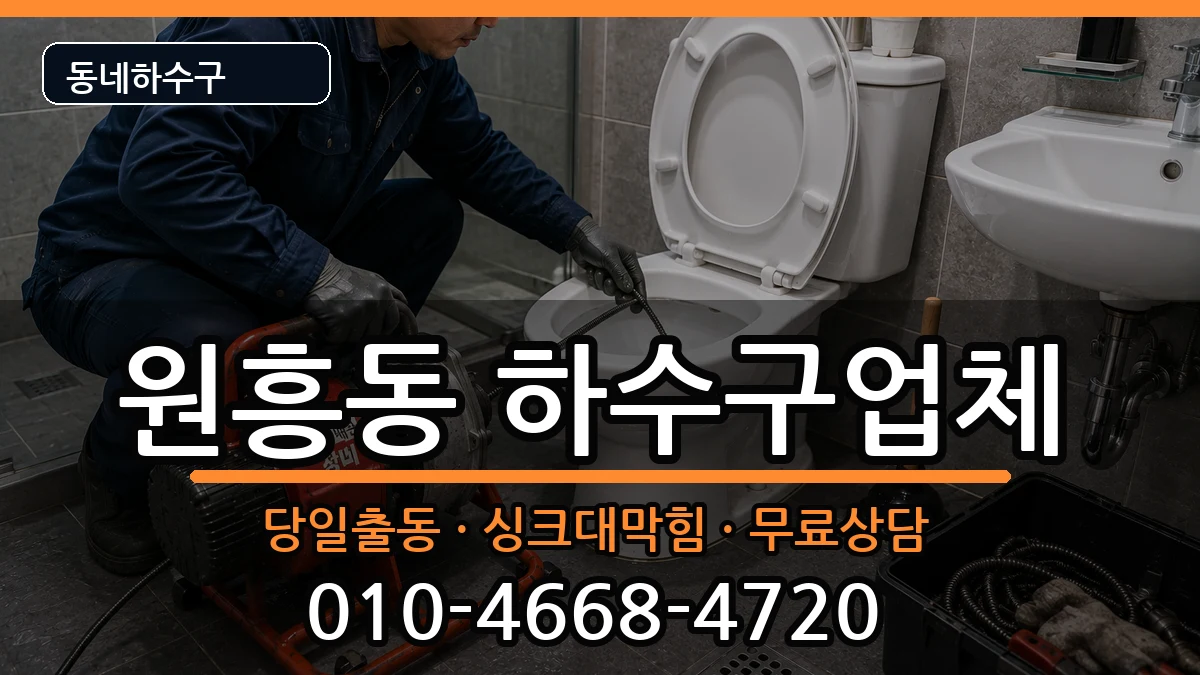 경기고양시덕양구원흥동  하수구막힘 사례형