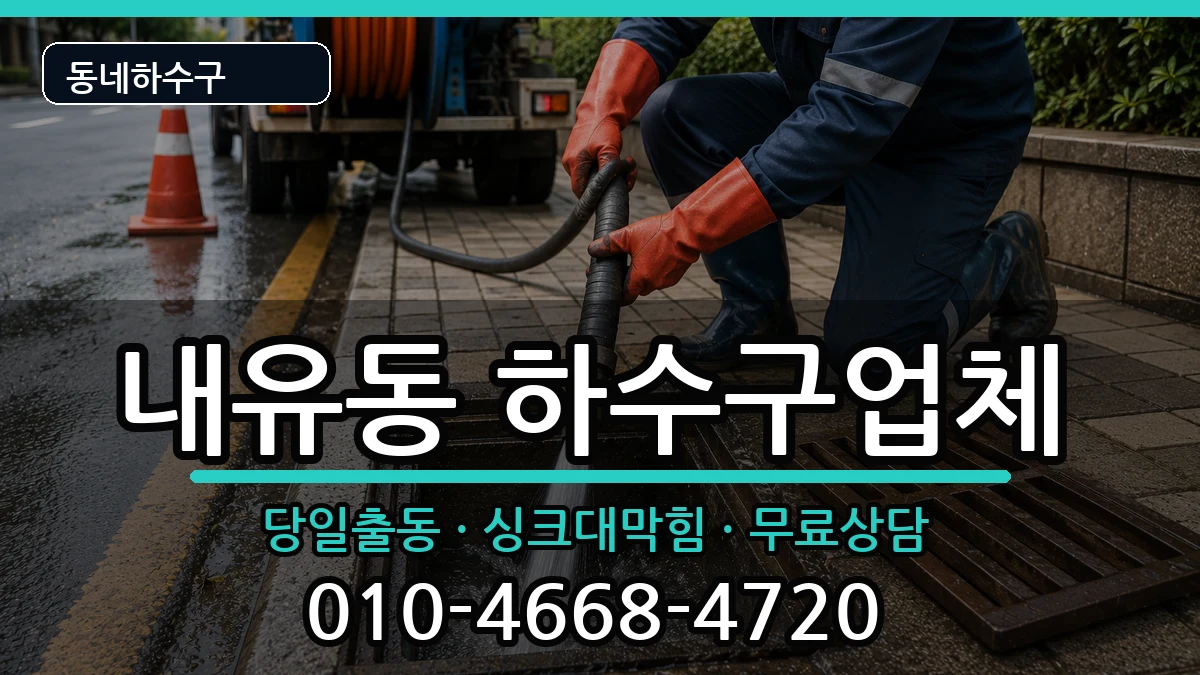 경기고양시덕양구내유동 하수구막힘 경기고양시덕양구내유동 하수구막힘 증상 처리 안내 이미지 3